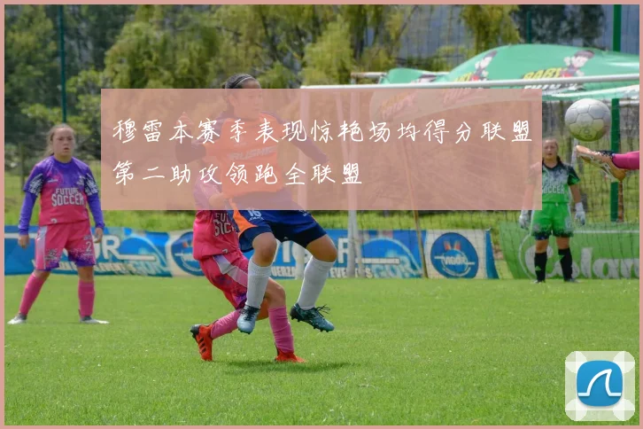 穆雷本赛季表现惊艳场均得分联盟第二助攻领跑全联盟