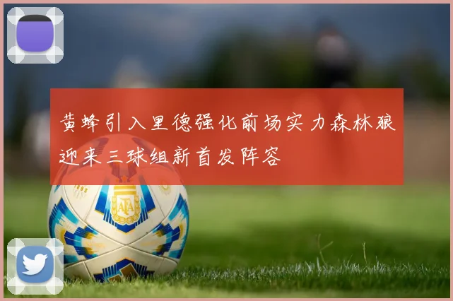 黄蜂引入里德强化前场实力森林狼迎来三球组新首发阵容