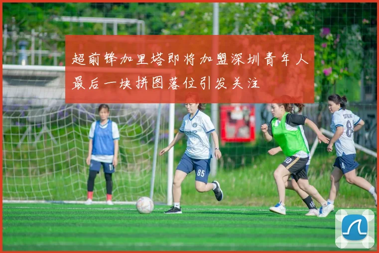 超前锋加里塔即将加盟深圳青年人最后一块拼图落位引发关注